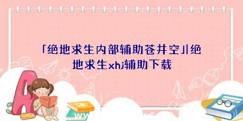 「绝地求生内部辅助苍井空」|绝地求生xhj辅助下载